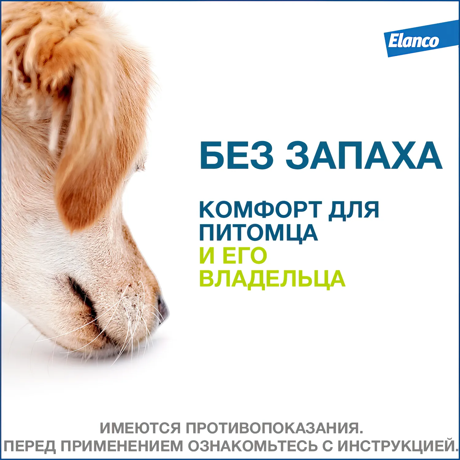 Bayer Форесто ошейник от клещей и блох для собак  менее 8 кг, 38 см