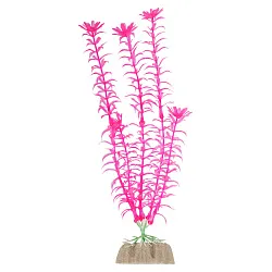 GloFish Растение L, розовое СКИДКА 40% GloFish Растение L, розовое СКИДКА 40%