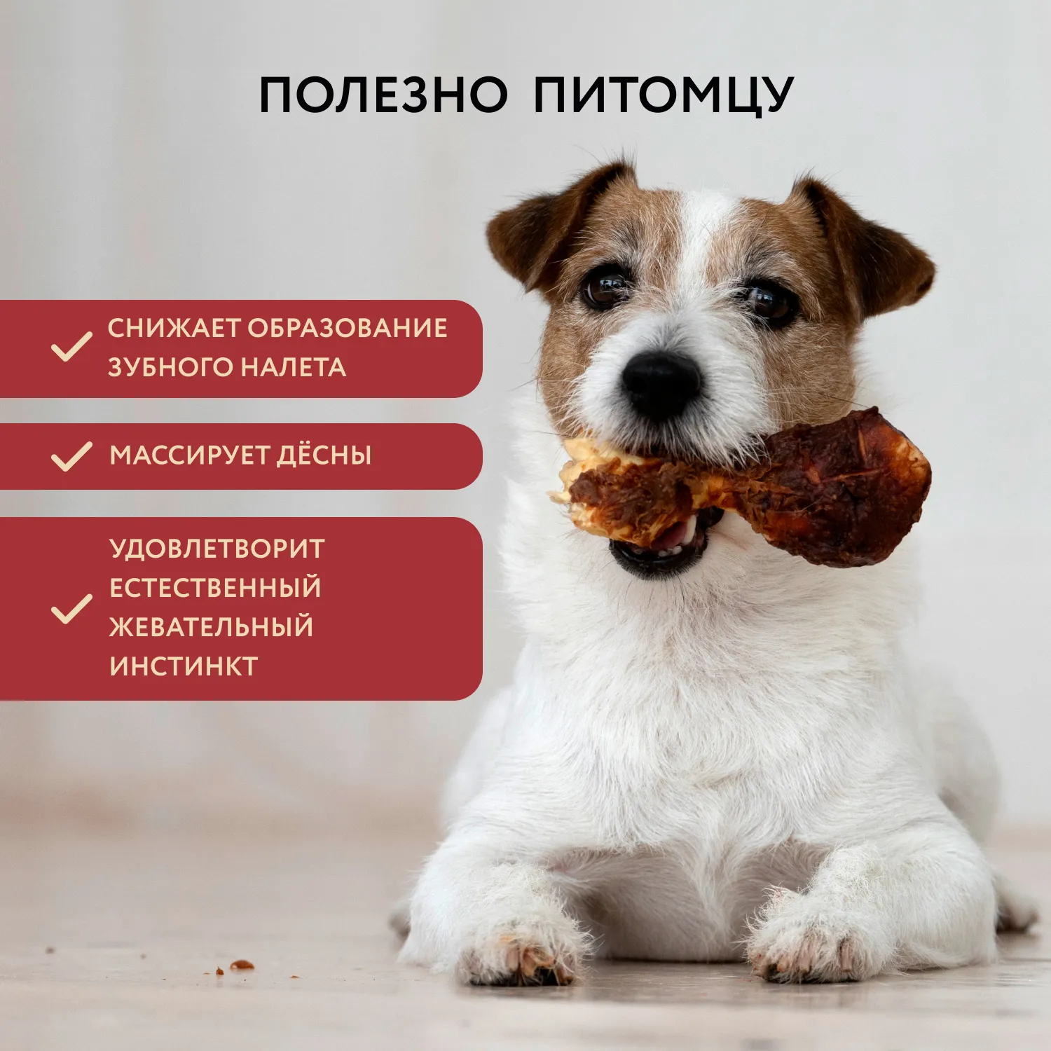 Лакомство Мнямс Деликатес Пармская косточка для собак размер S 35 г