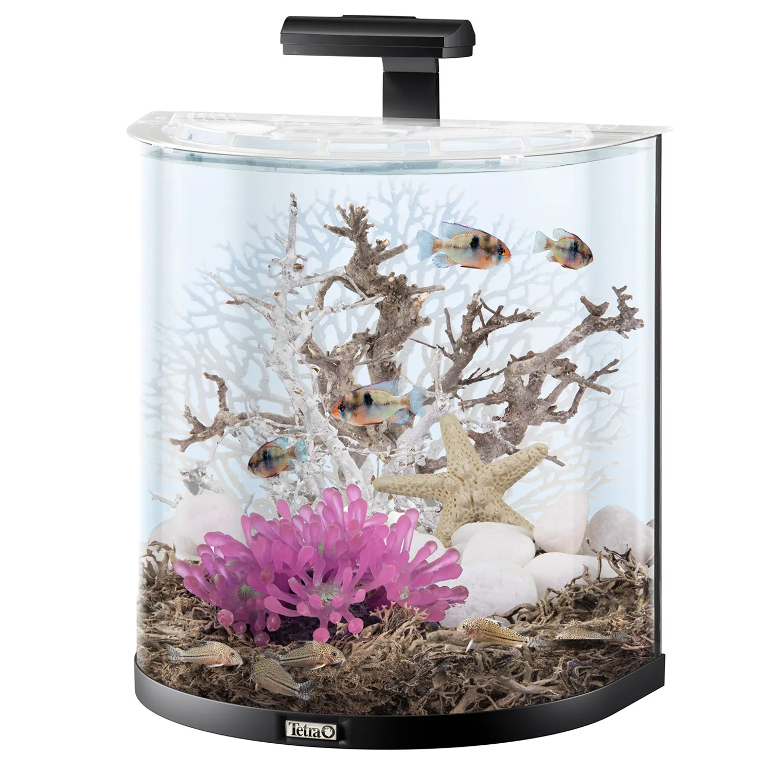 Tetra AquaArt Explorer Line LED 60 л - аквариумный комплекс "Полумесяц" СКИДКА 40%