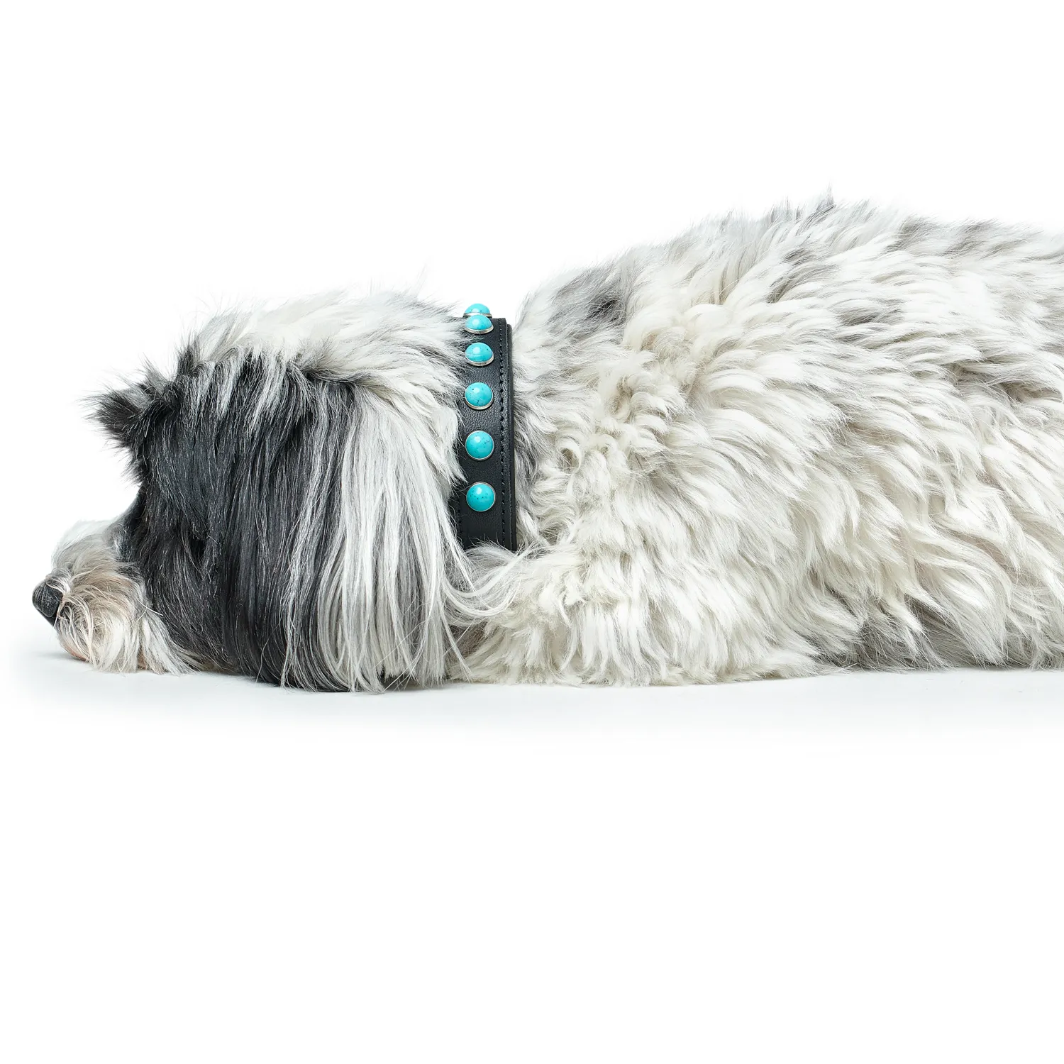 Hunter ошейник для собак Modica XS-S (24-30 см) натуральная кожа, черный, фурнитура с имитацией бирюзы СКИДКА 40%