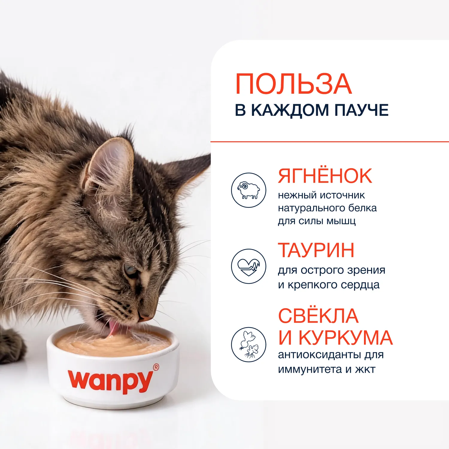 Wanpy Cat Лакомство для кошек «нежное пюре» из ягненка со свеклой и куркумой 70 г