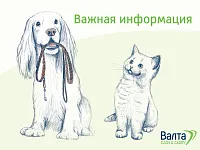 Изменение условий коммерческого предложения Изменение условий коммерческого предложения