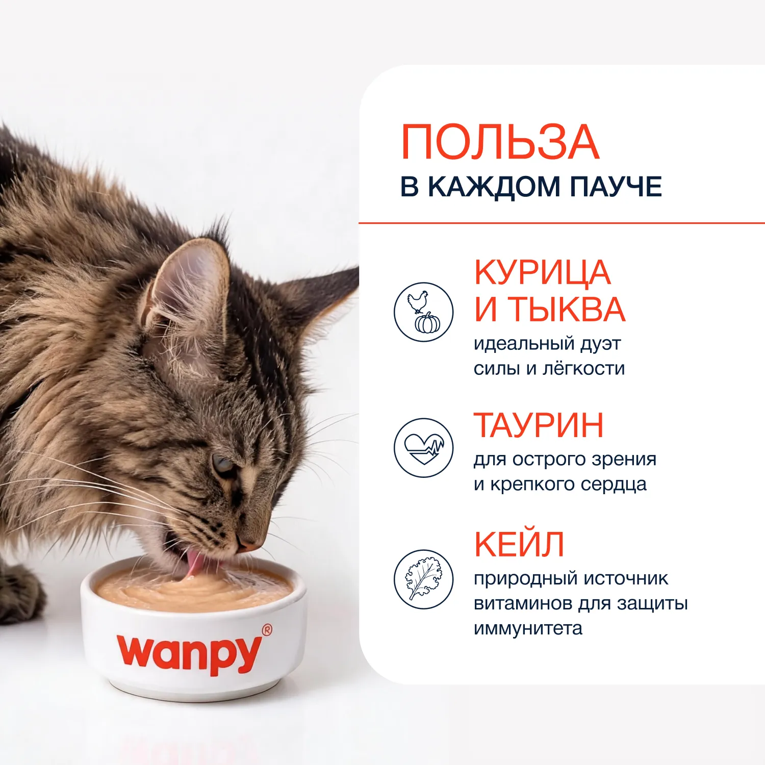 Wanpy Cat Лакомство для кошек «нежное пюре» из курицы с тыквой и кейлом 70 г