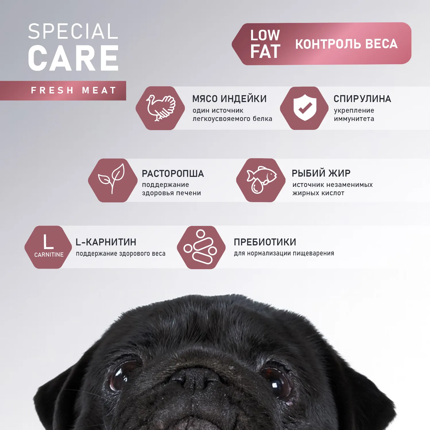 Сухой корм AWARD SPECIAL CARE Weight Control для взрослых собак всех пород для контроля веса со свежим мясом индейки 12кг