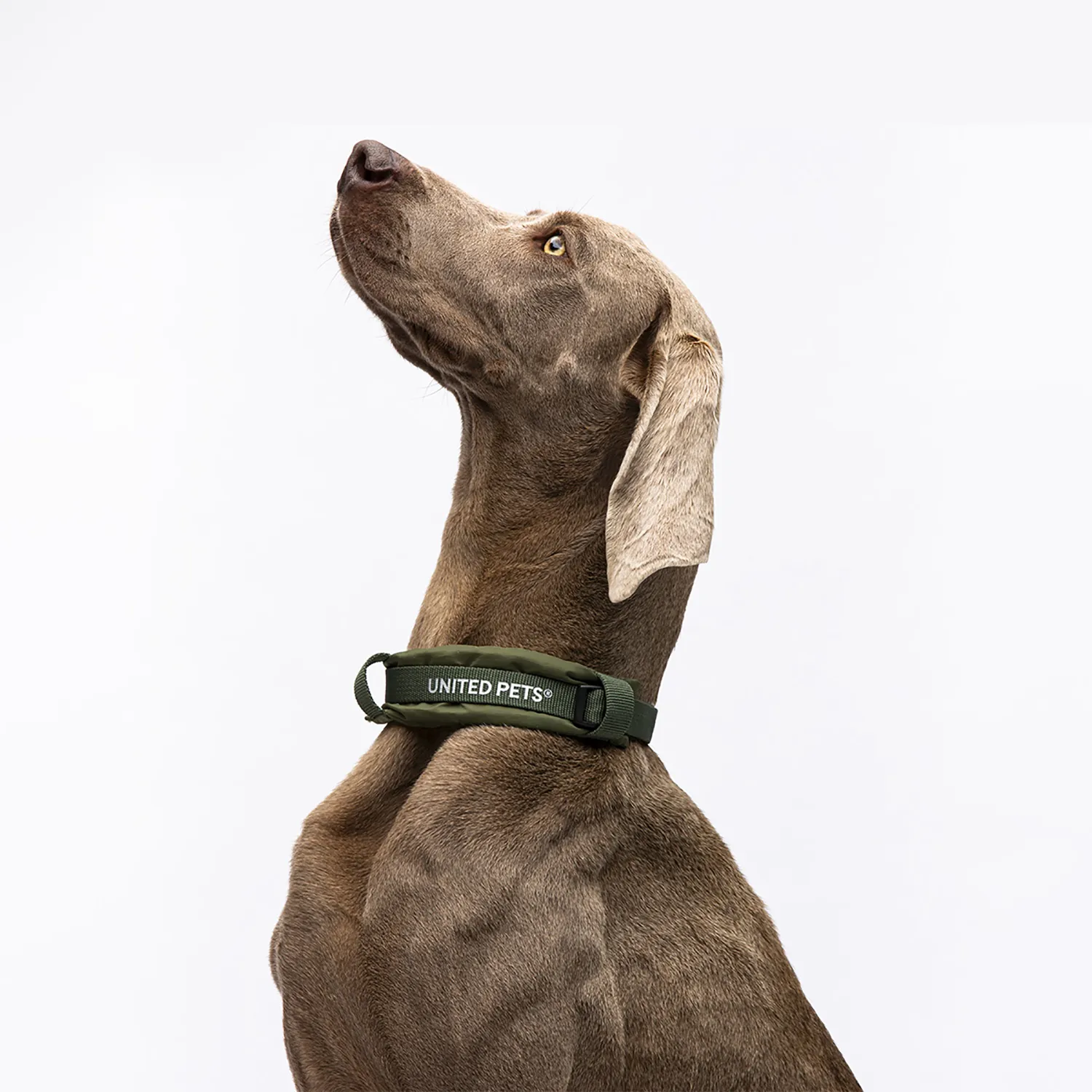 Ошейник United Pets с мягкой подкладкой для собак Citylife M 20 x 35-50 см хаки