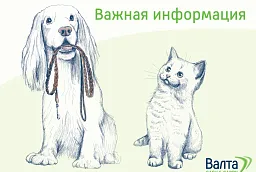 Открытие нового филиала и магазина для корпоративных клиентов «Валта Cash&Carry» Открытие нового филиала и магазина для корпоративных клиентов «Валта Cash&Carry»
