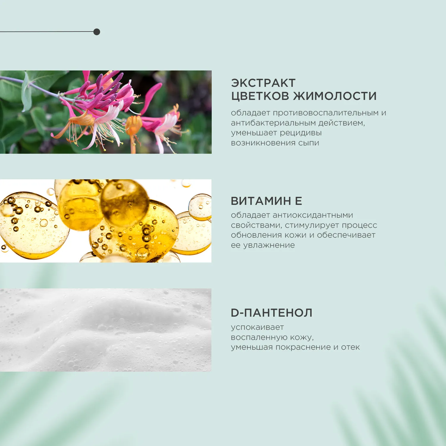 Жидкий шампунь ProPhyto ALWAYS FRESH с растительными экстрактами для регулярного гигиенического очищения кожи и шерсти собак, 500 мл