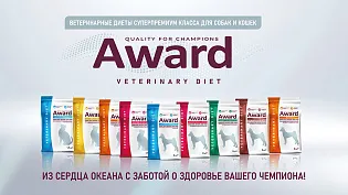 Новая линейка диетических кормов Award Veterinary Diet