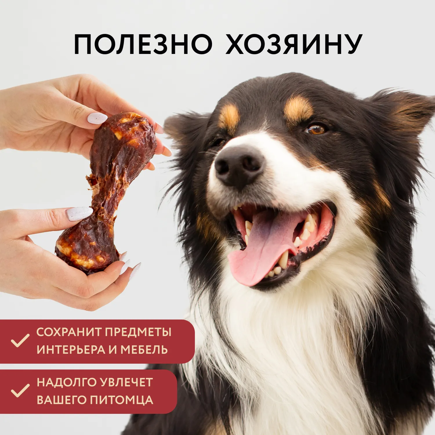 Лакомство Мнямс Деликатес Пармская косточка для собак размер L 45 г