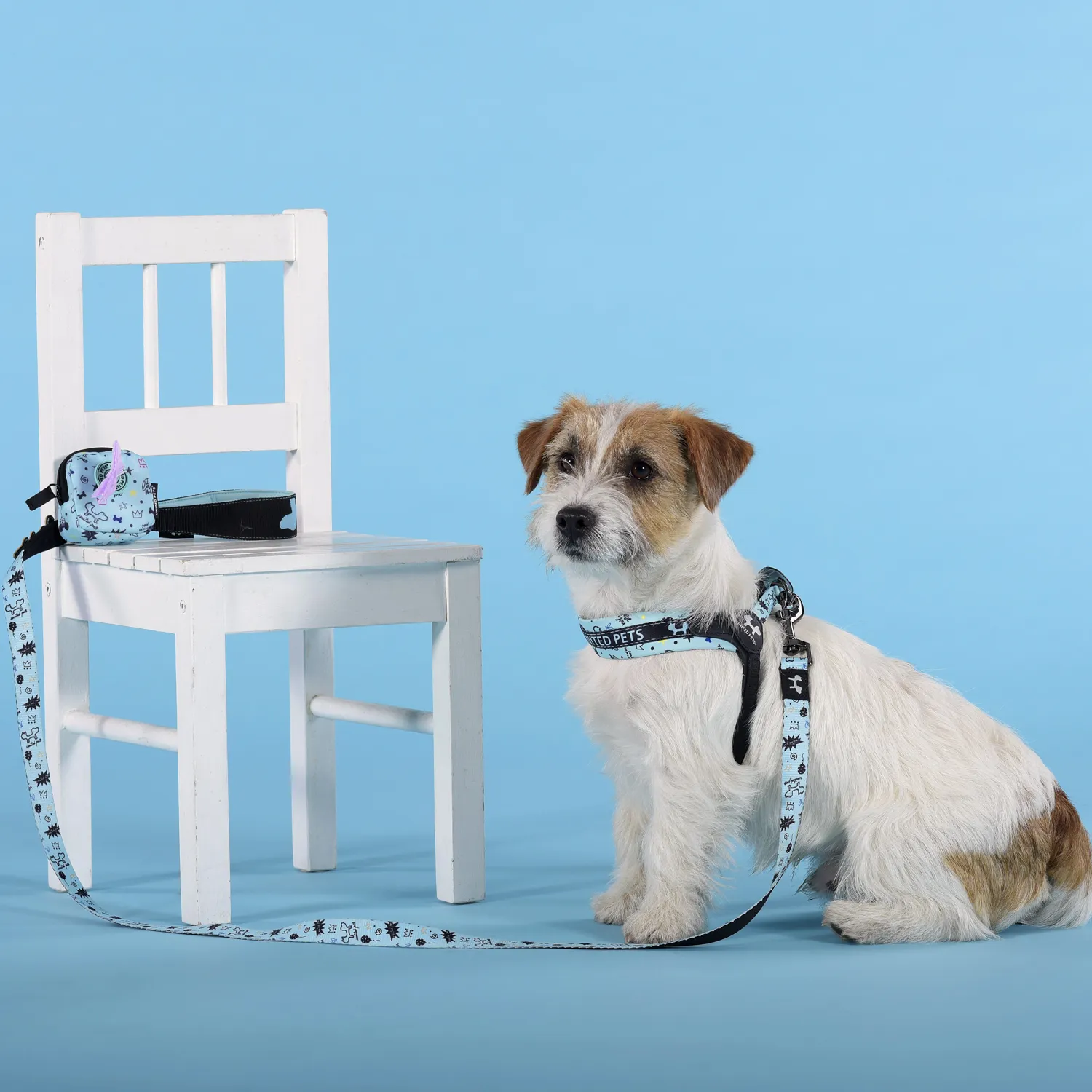Поводок United Pets для собак Complete me Writing 140 см, 20 мм, голубой с рисунком СКИДКА 40%